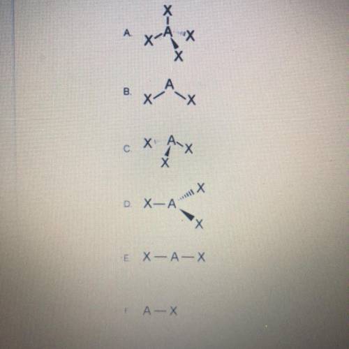 Identify the following molecular shapes.