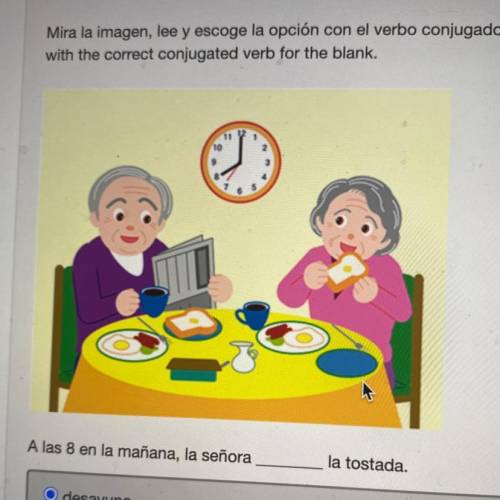 A las 8 en la mañana, la señora_______

la tostada.
Choices
O desayuna
O compartes
O desayunas
Pre