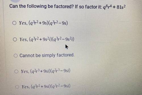 Can the following be factored?