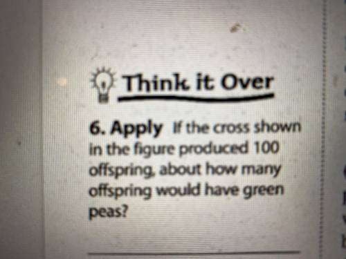 Apply if the cross shown in the figure produced 100 offspring, about how many offspring would have