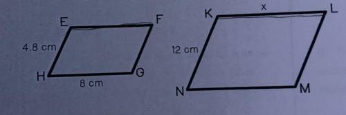 Parallelogram EFGH is similar to parallelogram KLMN. What is the length of KL?