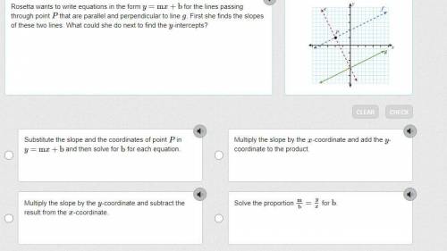 Rosetta wants to write equations in the form y=mx+b for the lines passing through point P that are