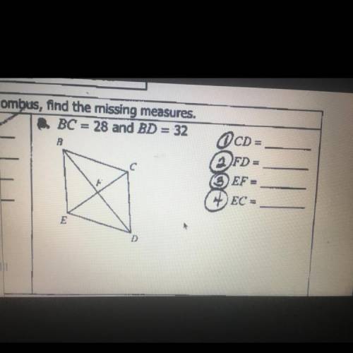 Answers for 1,2,3,4 questions