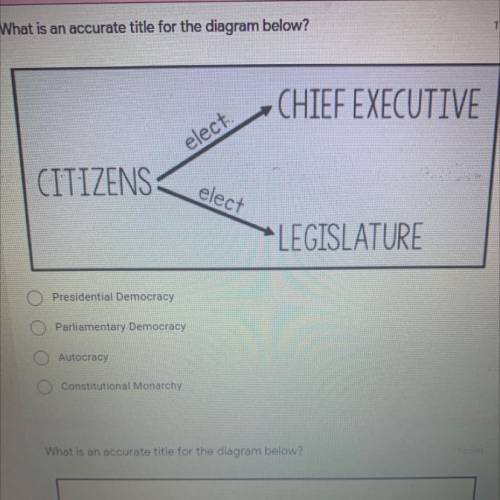 What is an accurate title for the diagram below?

1 point
CHIEF EXECUTIVE
elect.
CITIZENS
elect
LE