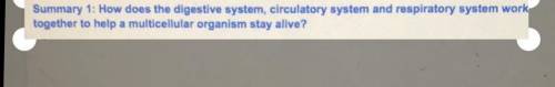 How does the digestive system, circulatory system and respiratory system work

together to help a