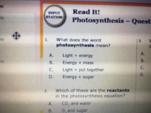 What does the word photosynthesis mean?
PIC IS BELOW!