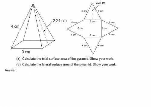 HELP WILL GIVE BRAIN IF RIGHT THIS IS THE LAST OF MY POINTS 1. Consider the surface area of the fol