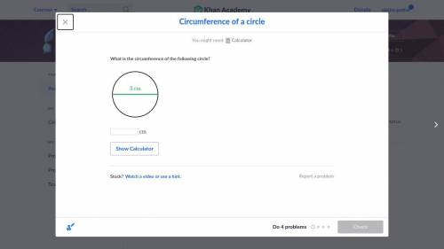 What is the circumference of the following circle?