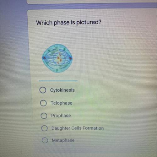 Which phase is pictured?