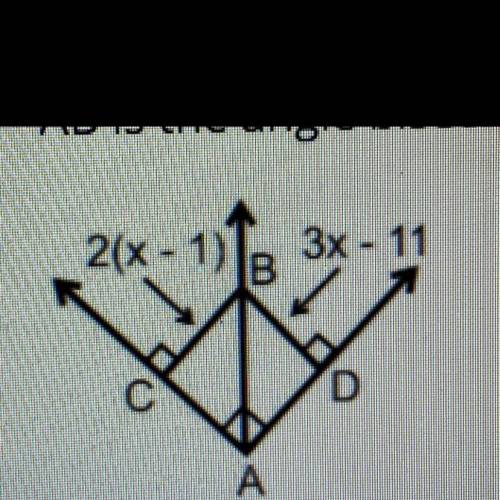 AB is the angle bisector find x