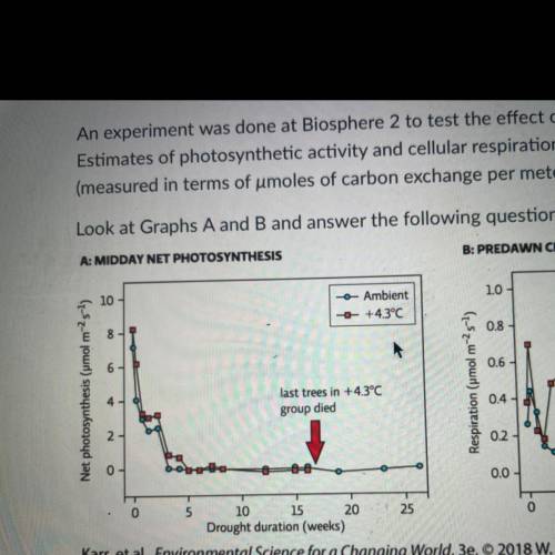 Look at Graph A. What is the general trend for photosynthetic activity over the course of the exper