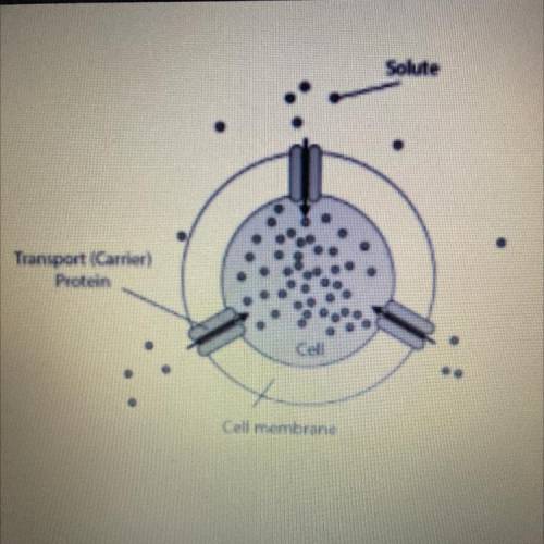 An illustration of a cell interacting with its environment is provided.

The illustration best rep