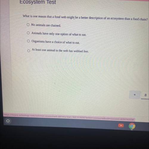 What is one reason that a food web might be a better description of an ecosystem than a food chain?