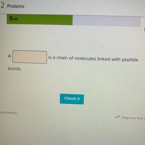 A is a chain of molecules linked with peptide
bonds.