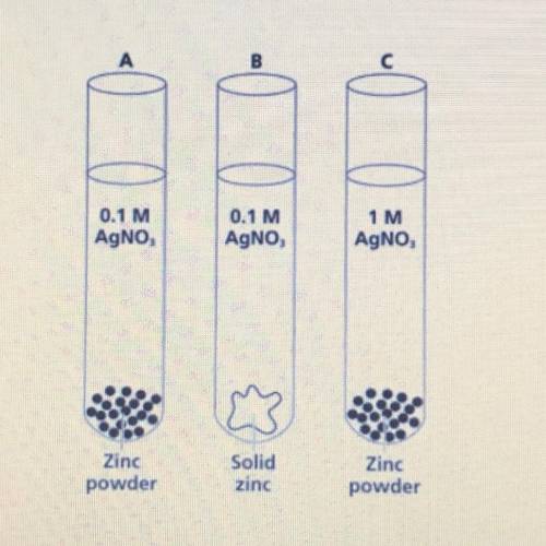 Which of the following test tubes

A) would have the fastest rate of reaction? Defend your answer.