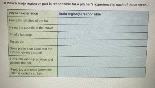 Which brain region or part is responsible for a pitchers experience in each of these steps