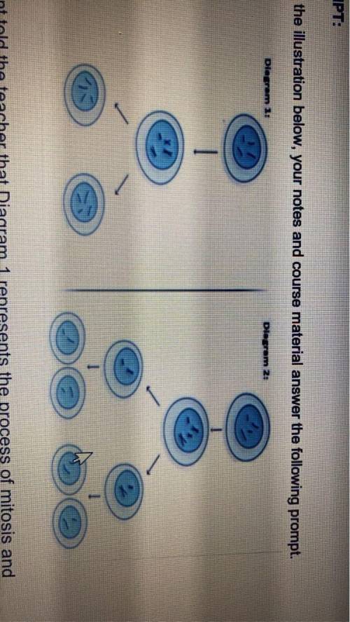 A student told the teacher that Diagram 1 represents the process of mitosis and Diagram 2 represent