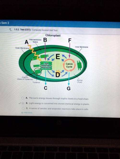 WICH STATEMENT IS THE BEST SUMMARY OF MODEL?​