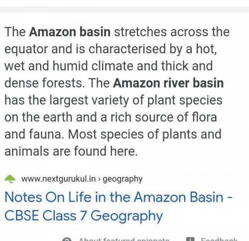 Hi guys ,What is the life style of Amazon Basin ?

; )
And I am so bored