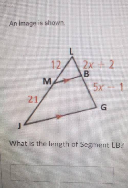 What is the length of segment LB AND BG. PLEASE HELP NEED ANSWERS NOW​