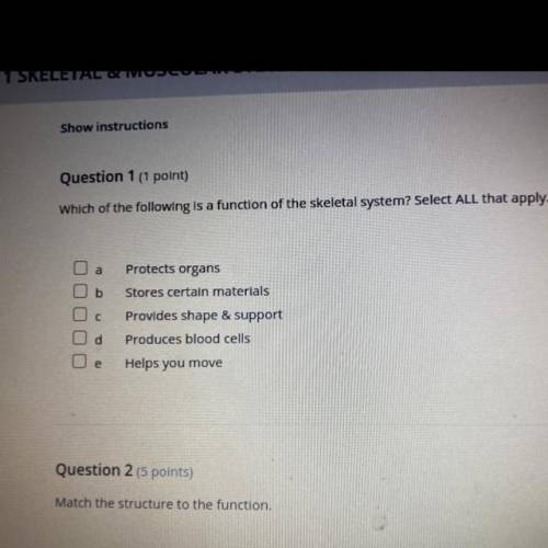 Which of the following is a function of the skeletal system? Select ALL that apply.

Protects orga