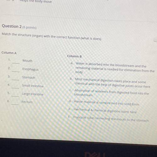 Match the structure (organ) with the correct function (what is does).