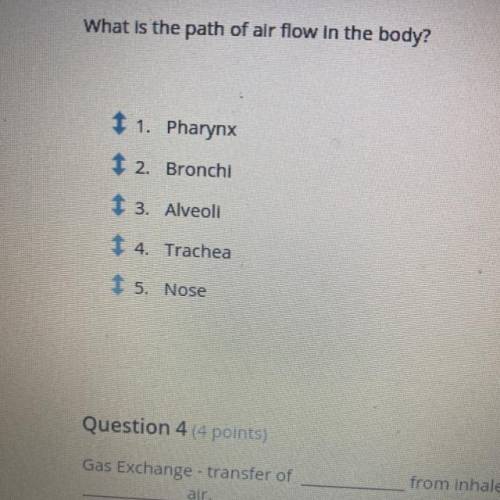 What is the path of air flow in the body?

Put them in the right spot !
Anyone available to help ?