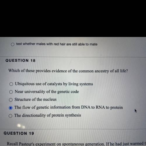 Which of these provides evidence of the common ancestry of all life?

A.Ubiquitous use of catalyst