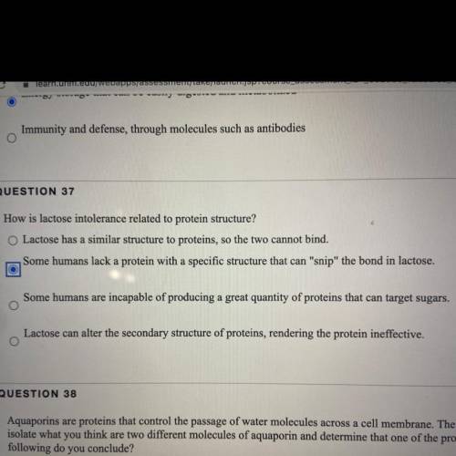 How is lactose intolerance related to protein structure?

A.Lactose has a similar structure to pro