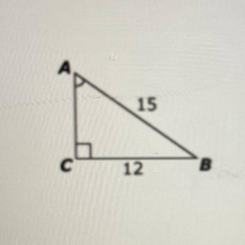 ANSWER QUICKLY PLEASE
consider this right triangle 
Enter the measure of