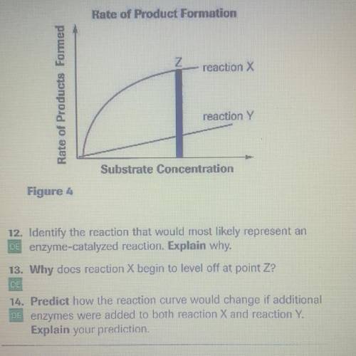 What are the answers for 12,13,14?