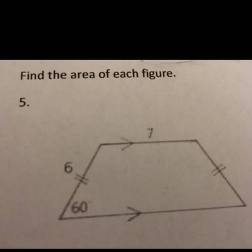 Please help with this I am giving brainliest!