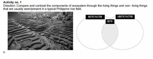 what are the living things and non- living things that are usually present in a typical Philippine