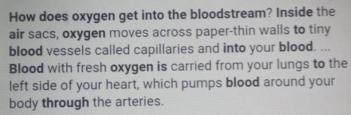 How does oxygen in the air get into the blood?​