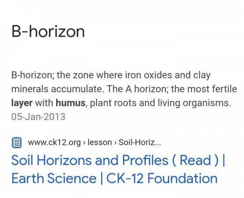 What soil horizon is the most important for the growth of plants (agriculture) ?