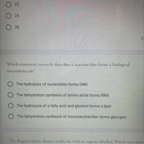 Which statement correctly describes a reaction that forms a biological

macromolecule?
The hydroly