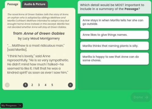 anne of the green gables - iready. Which detail would be MOST important to include in a summary of