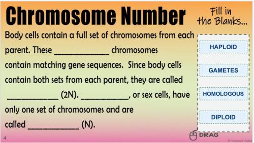 Can someone help me with this chromosome assignment?