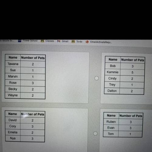 A class is collecting data on the number of pets each student has. The class is divided into 4 grou