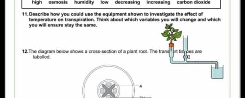 Brainlist 
For correct answer