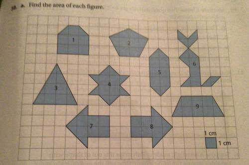 Please find the area of all these figures :))
