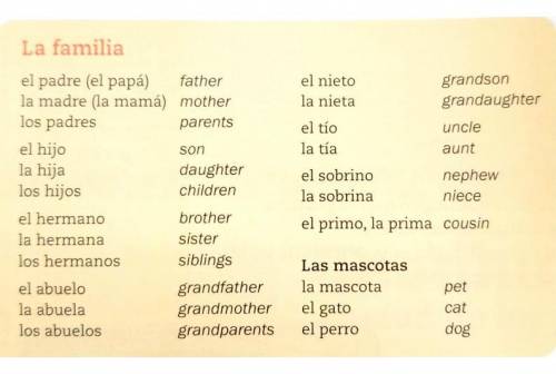 Directions: Completa. Complete the sentences with words shown above.

1. Janet y Andy son los _ de