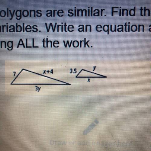 I’ll give you a huge virtual bear hug if you answer this right

The polygons are similar. Find the