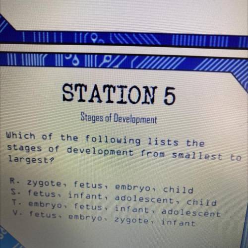 Which of the following lists the

stages of development from smallest to
largest?
R. zygote, fetus