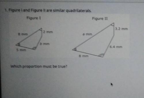 Answers: A: a/b= 8/2 B: 3.2/2=a/b C: b/6.4=8/5 D: 2/3.2 = b/a​