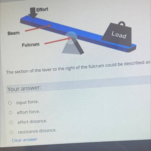 The section of the lever to the right of the fulcrum could be described as the?