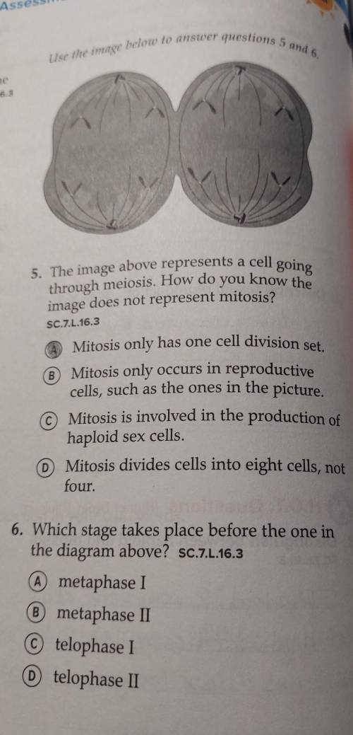 I need help for studying for my test ​