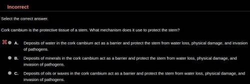 Cork cambium is the protective tissue of a stem. What mechanism does it use to protect the stem? HI