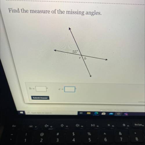 I need help with this question ASAP