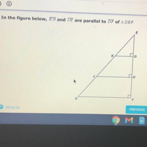 What pair of angles is congruent?